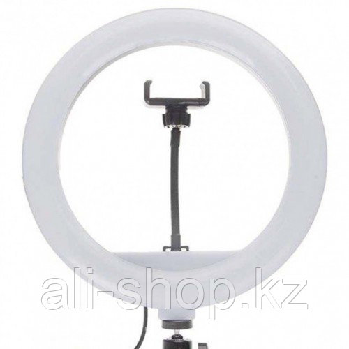 Кольцевая LED лампа JY-300 30 см - фото 1 - id-p113499174