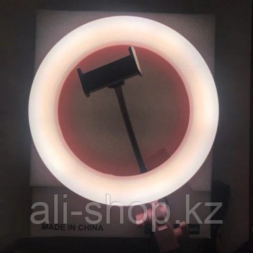 Кольцевая LED лампа Ra-95 диаметр 26см + зеркало - фото 3 - id-p113499180