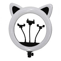 Профессиональная кольцевая лампа в форме головы кошки Cat Ring Light RK-45 Черная кошка 65 Вт