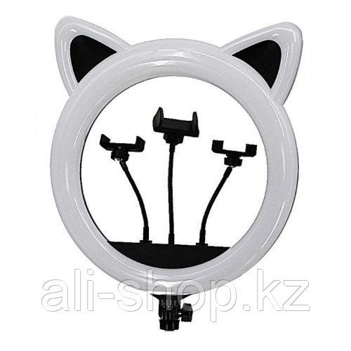Профессиональная кольцевая лампа в форме головы кошки Cat Ring Light RK-45 Черная кошка 65 Вт - фото 1 - id-p113499182