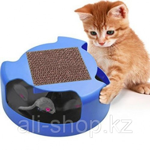 Игрушка для котов RR-206 cat toys blue - фото 1 - id-p113499318
