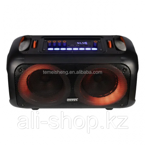 Акустическая система Temeisheng TMS-6616 bluetooth колонка 25*2Вт - фото 1 - id-p113500051