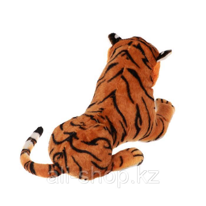 Мягкая игрушка «Тигр», 30 см, цвета МИКС - фото 3 - id-p113501273