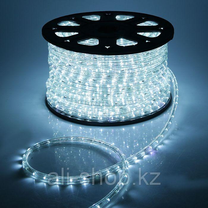 LED шнур 13 мм, круг, 100 м, кажд 6 мерц, 2W-LED/м-36-220V. + набор д/подкл, БЕЛЫЙ - фото 1 - id-p113501390