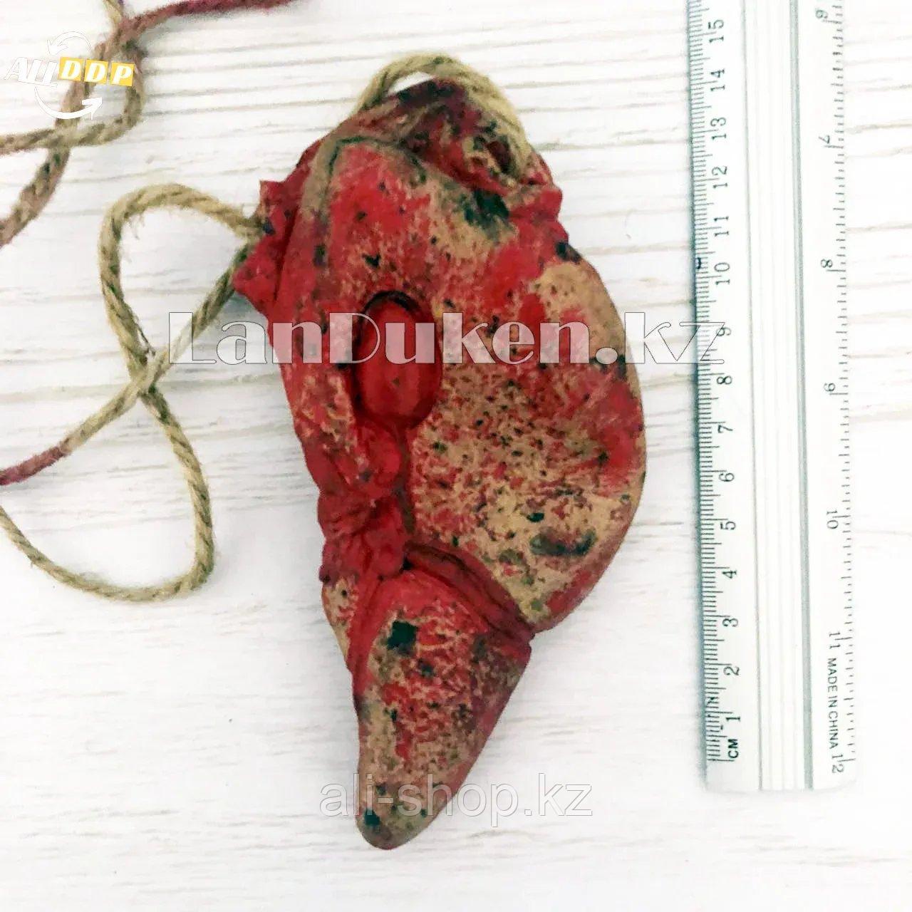 Кровавая печень на веревке - украшение на Хэллоуин (Halloween) - фото 2 - id-p113501603