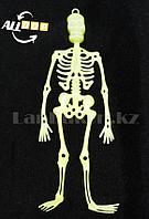 Светящийся (фосфорный) скелет для Хэллоуина 32 см