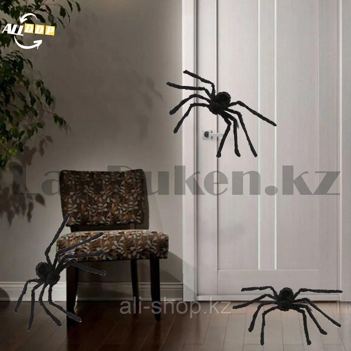 Паук декоративный средний для Хэллоуина черный 60 см - фото 3 - id-p113501698