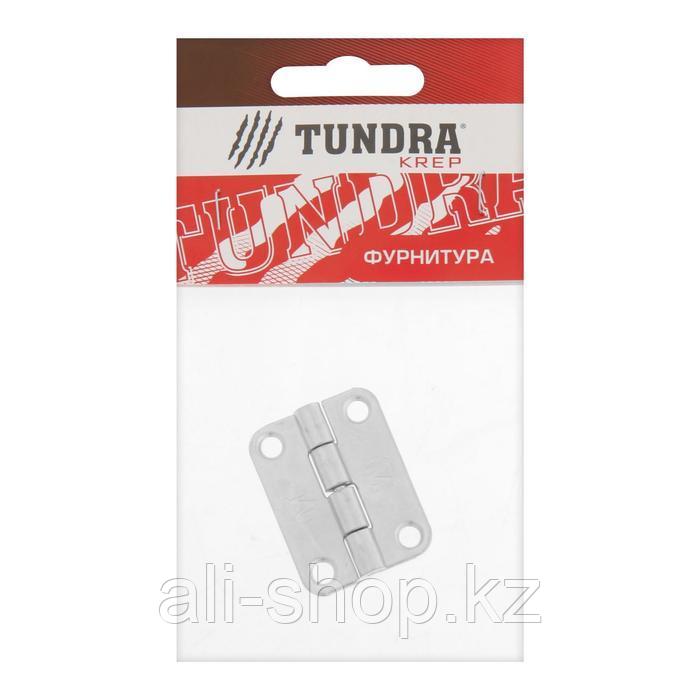 Петля карточная TUNDRA, 30х40 мм, покрытие цинк, 1 шт - фото 3 - id-p113504329