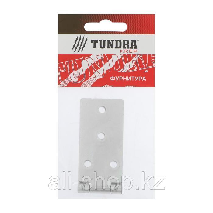 Петля карточная TUNDRA, 140х34 мм, покрытие цинк, 1 шт. - фото 3 - id-p113504561
