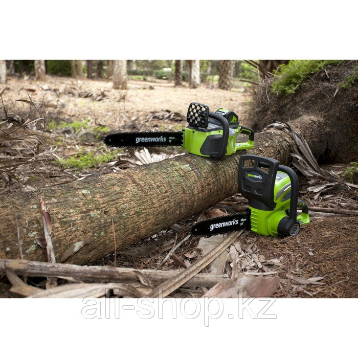 Пила цепная GreenWorks G40CS30, 40В, 12", 3/8", 45 зв., БЕЗ АКК. И ЗУ - фото 2 - id-p113506473