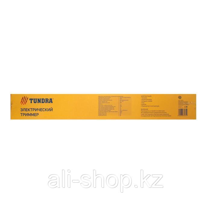 Электротриммер TUNDRA, разборная штанга, катушка полуавтомат и диск, скос 400 мм, 1200 Вт - фото 10 - id-p113506637