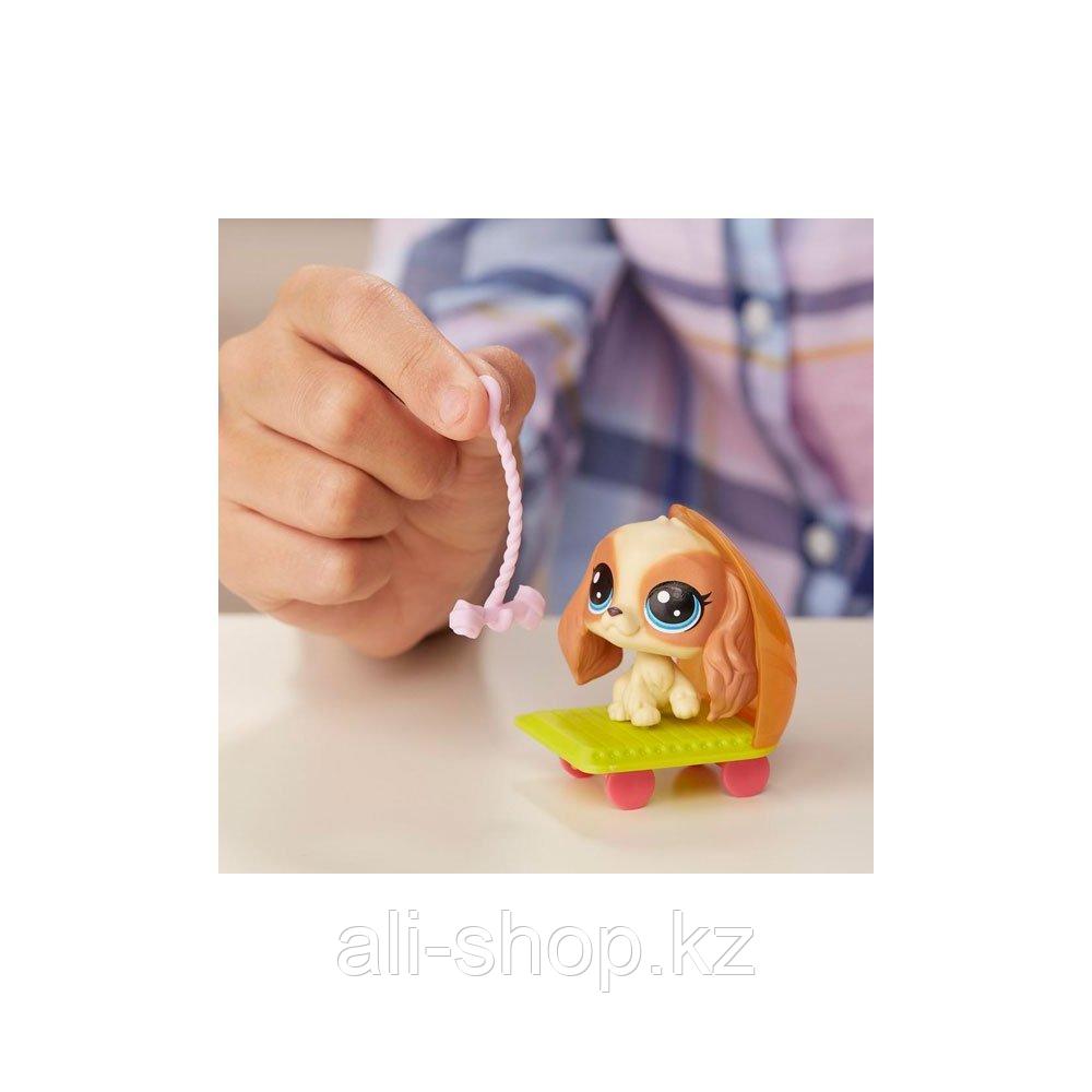 Hasbro Littlest Pet Shop E0393 Литлс Пет Шоп Игровой набор ,Хобби Петов, - фото 4 - id-p113514577