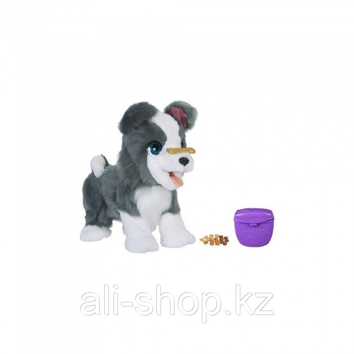 Hasbro Furreal Friends E0388 Поющий Кеша - фото 8 - id-p113518051