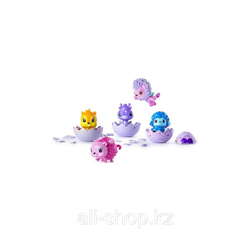 Hatchimals 19104 Хетчималс Коллекционная фигурка (4 штуки + бонус) - фото 2 - id-p113515093