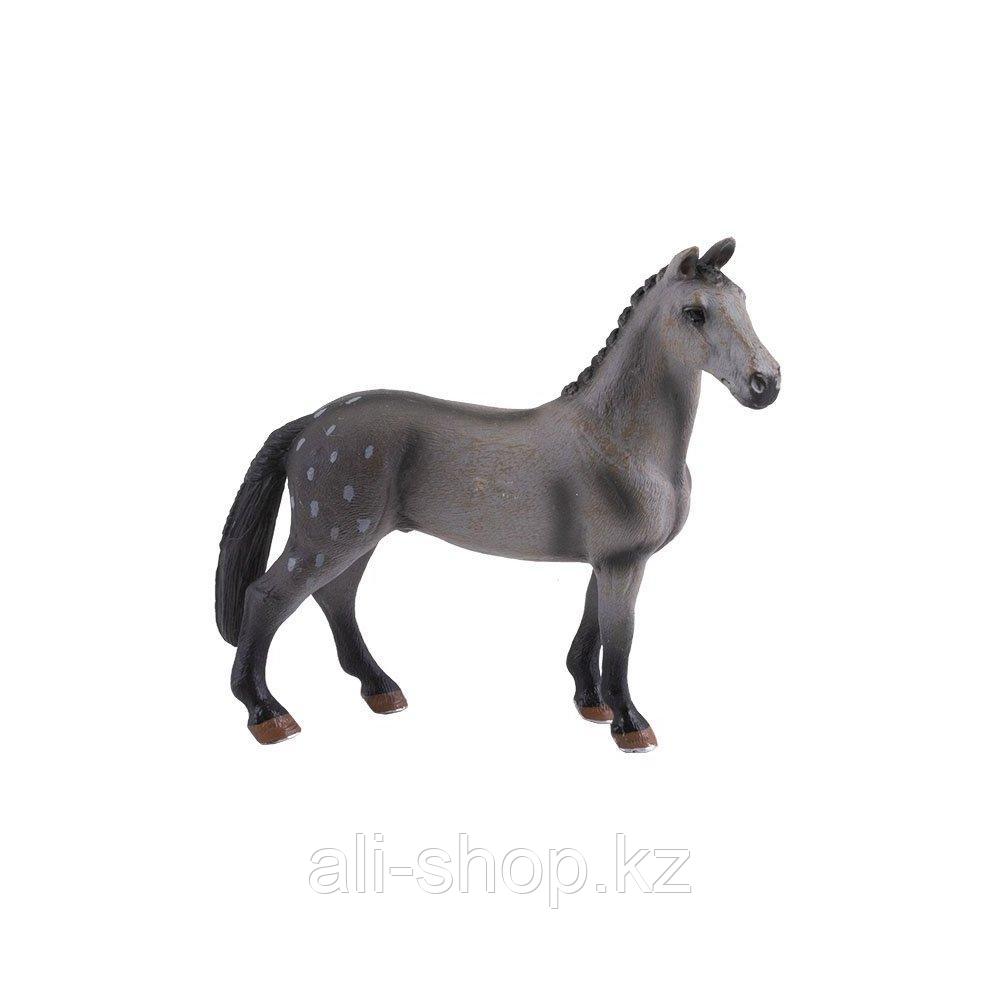 Игрики ZOO TAV010 Фигурка ,Лошадь,, 8 видов (в ассортименте) - фото 2 - id-p113516826