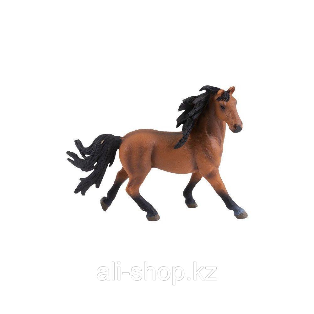Игрики ZOO TAV010 Фигурка ,Лошадь,, 8 видов (в ассортименте) - фото 3 - id-p113516826