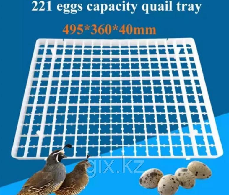 Лоток для перепилинного яйца вместимостью 221