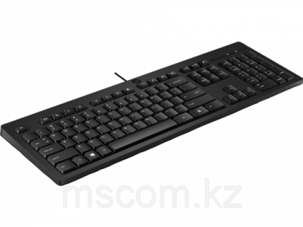 Клавиатура HP 125 USB Wired Keyboard 266C9A6 English layout - фото 1 - id-p113546445