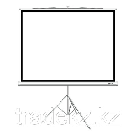 Экран для проектора на треноге Deluxe DLS-T203x154W (80"х60"), фото 2
