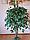 Искусственное дерево фикус Бенджамина пятнистый, 150 см, фото 2