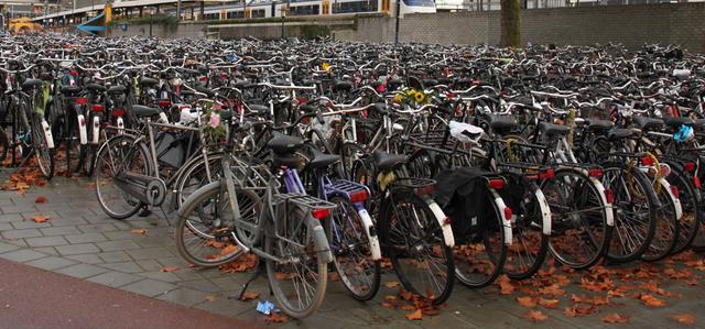 Крупная велопарковка