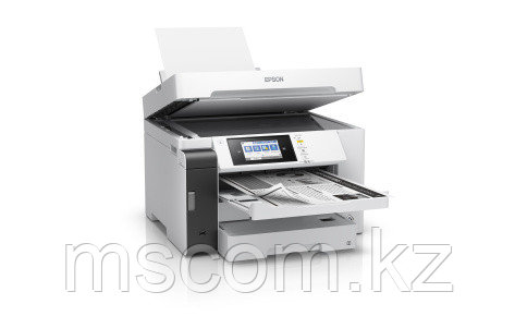 МФУ струйное ЧБ Epson M15180 C11CJ41408, А3+, до 32 стр/мин, ADF, WIFI, LAN, Duplex - фото 1 - id-p113548055