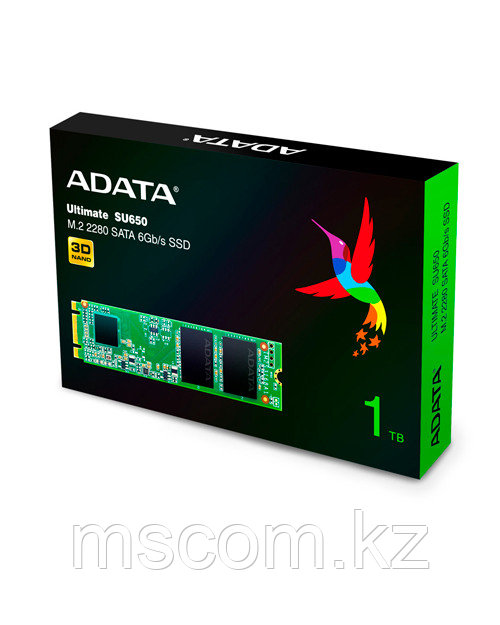 Твердотельный накопитель ADATA SSD M.2 SATA ADATA SU650 - фото 1 - id-p113547158