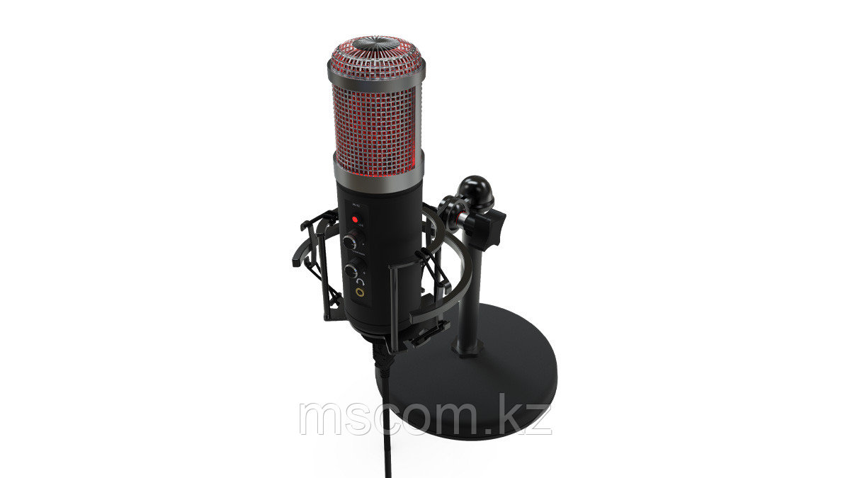 Студийный микрофон Ritmix RDM-260 USB Eloquence черный - фото 1 - id-p113546793