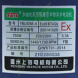 ᐈ Насос для перекачки топлива 220v, 80л/мин EX (взрывозащищённый), фото 4
