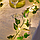 Гирлянда роса плющ Ветка (искусственная) зеленая 2 метра, фото 2