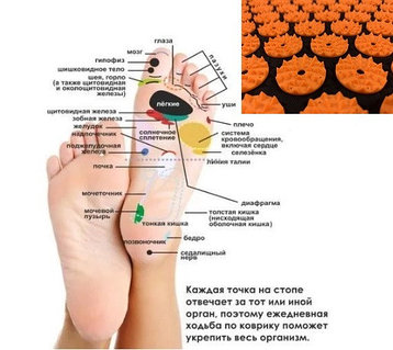 Жыныстық массаж онлайн онлайн