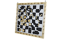 Настенная игра «Шашки+шахматы»