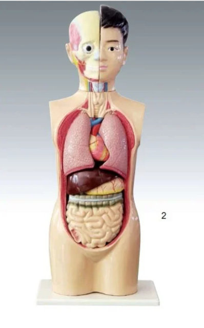 Жағажайда жоғалған телефондардан эротикалық фотолар Әйелмен үйде орысша секс