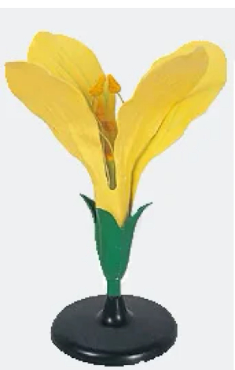 Модель «Цветок капусты» - фото 1 - id-p113716877