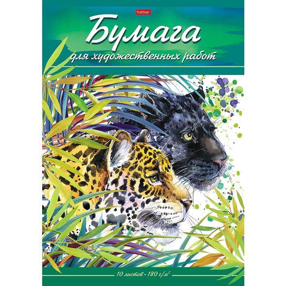 Набор бумаги для рисования "Hatber", 10л, А3, 180гр/м2, тиснение, в папке, серия "Дикий мир" - фото 1 - id-p113720810