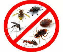 Дезинсекция от насекомых (скорпионов, тараканов, бытовых паразитов) - фото 1 - id-p113721900