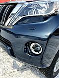 Линзованные туманки Land Cruiser prado 150, фото 6