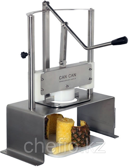 Машина для очистки ананасов CanCan CC.ASM01/8-9 - фото 1 - id-p113602834