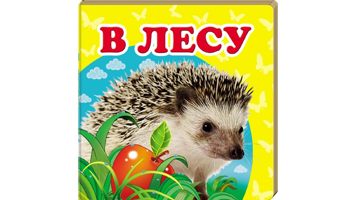 Окружающий мир: В лесу | Ranok