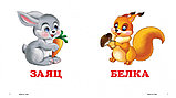 Окружающий мир: Зверушки | Ranok, фото 3