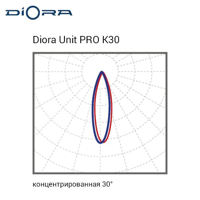 Diora Unit6 PRO 1020/162000 К30 4K лира - фото 3 - id-p113748611