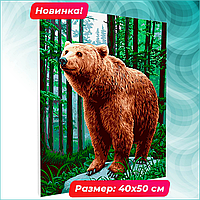 Картина по номерам "Бурый медведь" (40х50)