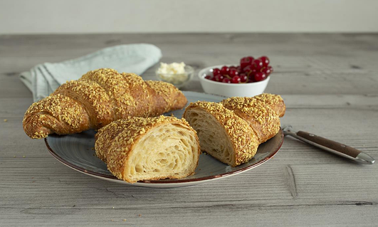 Кискадағы талшық