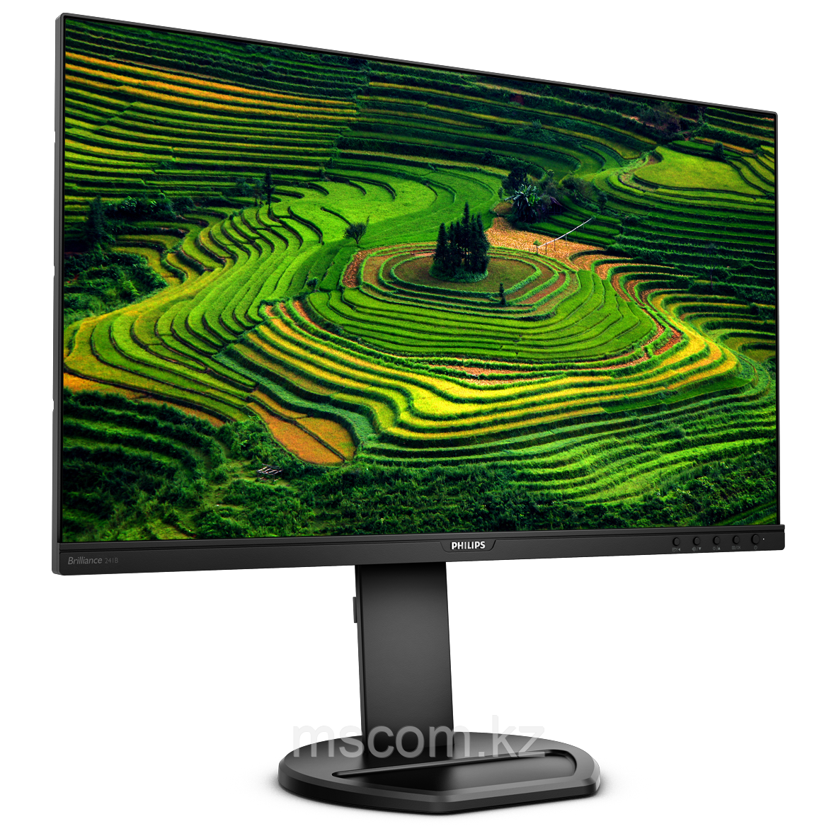 Монитор LCD 23.8'' [16:9] 1920х1080(FHD) IPS, nonGLARE, 75 Hz, 250 cd/m2, H178°/V178°, 1000:1, 50М:1, 16.7M, - фото 10 - id-p113564992