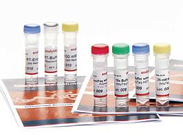 Полимераза "innuTaq HOT-A DNA Polymerase"