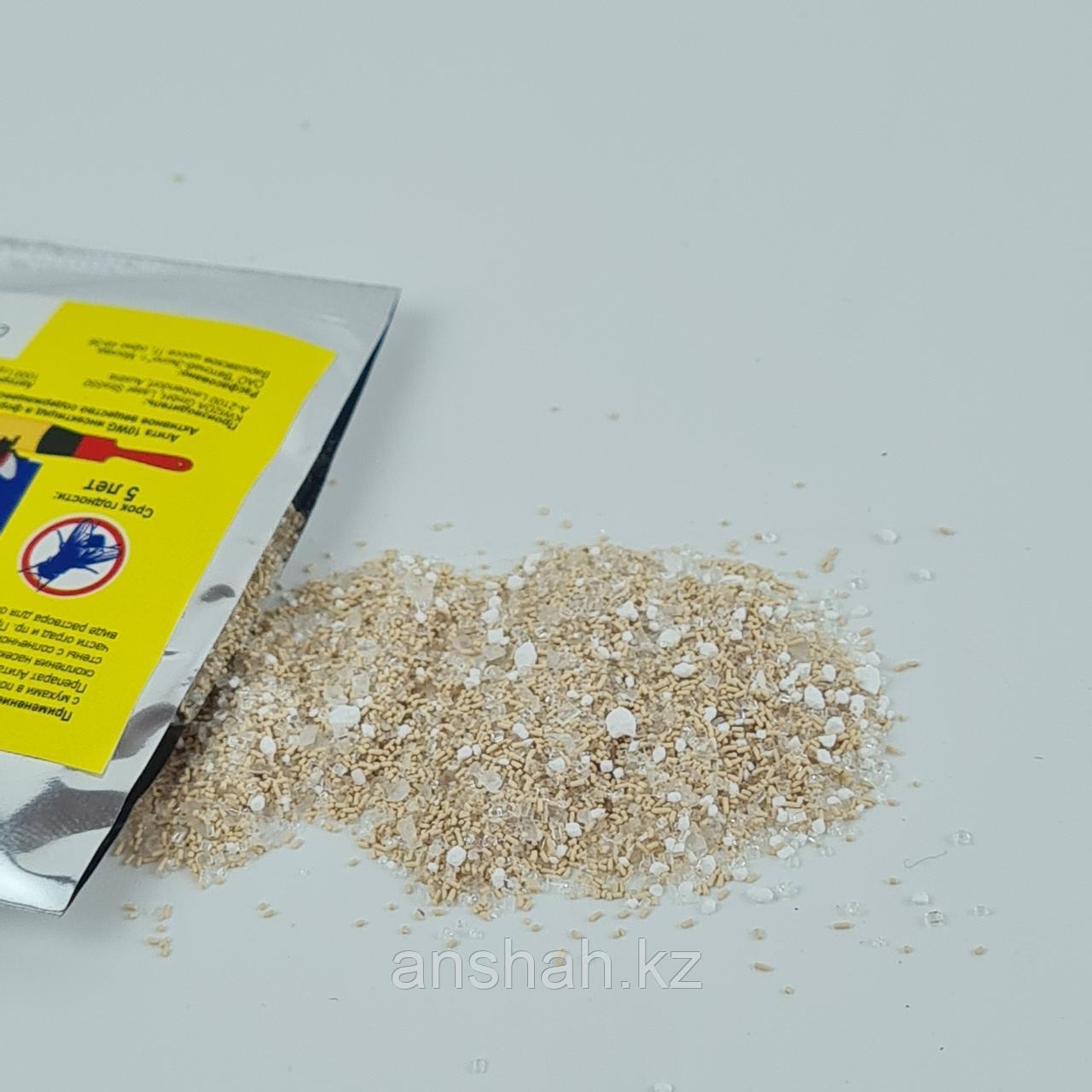 Лесбиянкалардың нәзік писькилері бар