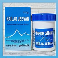 Кайлаш Дживан  Kailash Jeevan противовоспалительный, антисептический, заживляющий крем, 120 гр