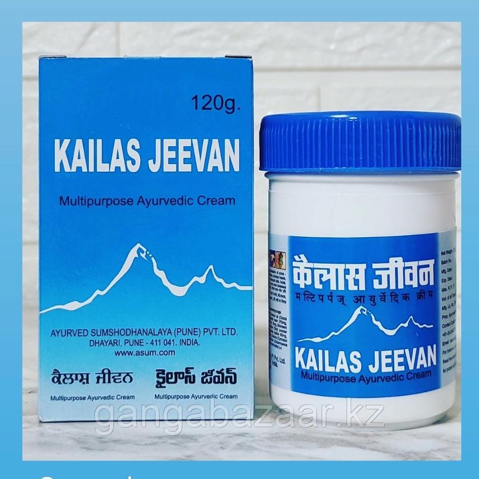 Кайлаш Дживан Kailash Jeevan противовоспалительный, антисептический, заживляющий крем, 120 гр - фото 1 - id-p85862304