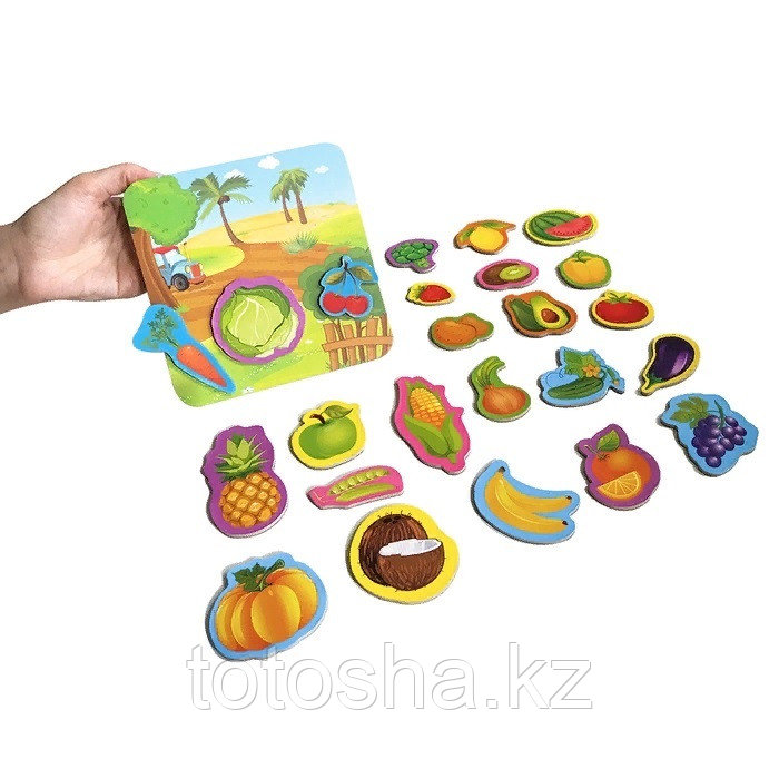 Магнитная игра "Овощи и фрукты" , Roter Käfer RK2090-06 - фото 4 - id-p113829556