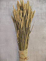 Колосья пшеницы, цвет песочный , Высота 80 см
